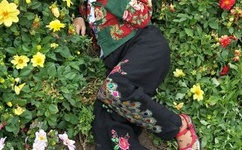 张津瑜视频哪里能看到